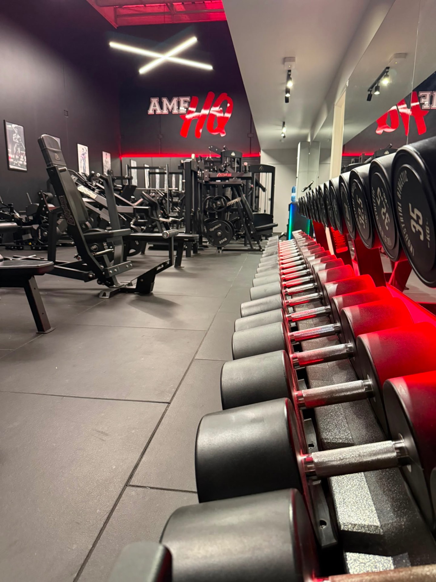 Inside AMF HQ — premium training floor in Tauranga