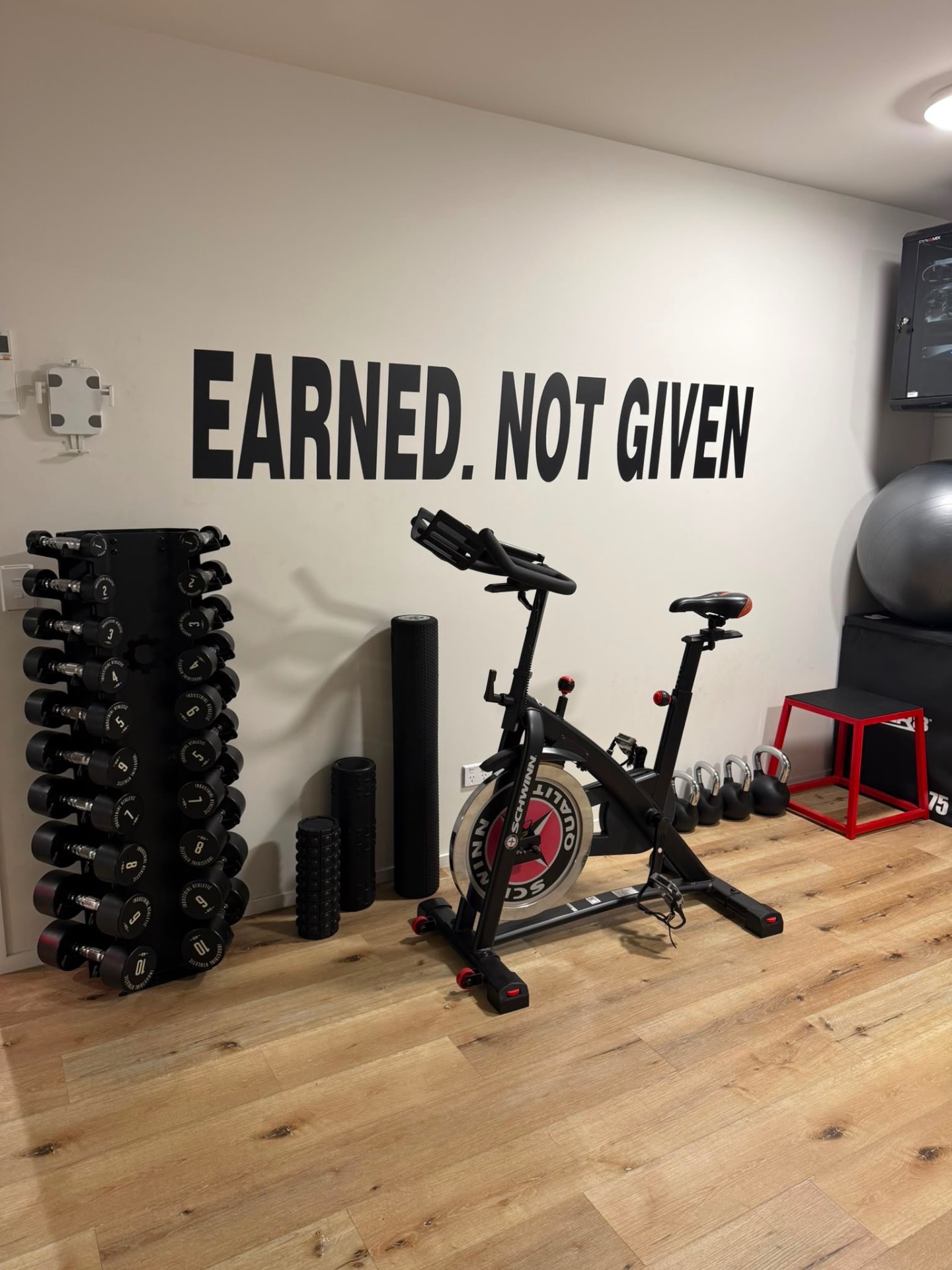 Inside AMF HQ — premium training floor in Tauranga