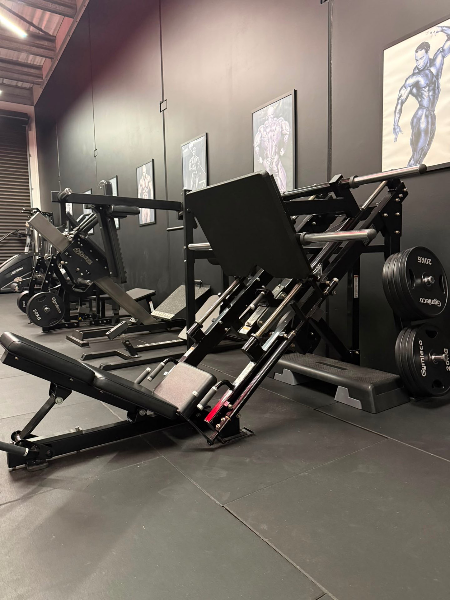 Inside AMF HQ — premium training floor in Tauranga