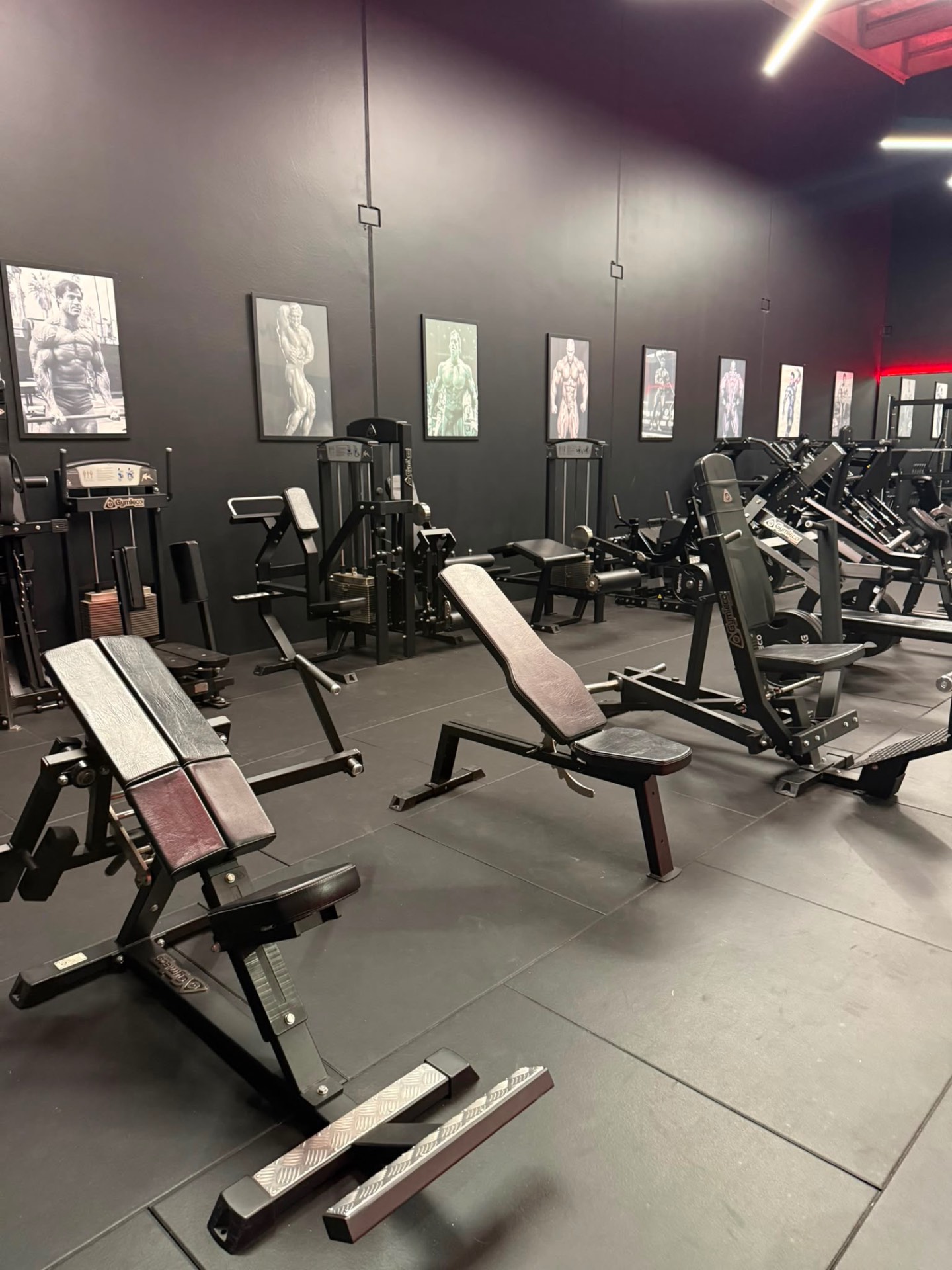 Inside AMF HQ — premium training floor in Tauranga