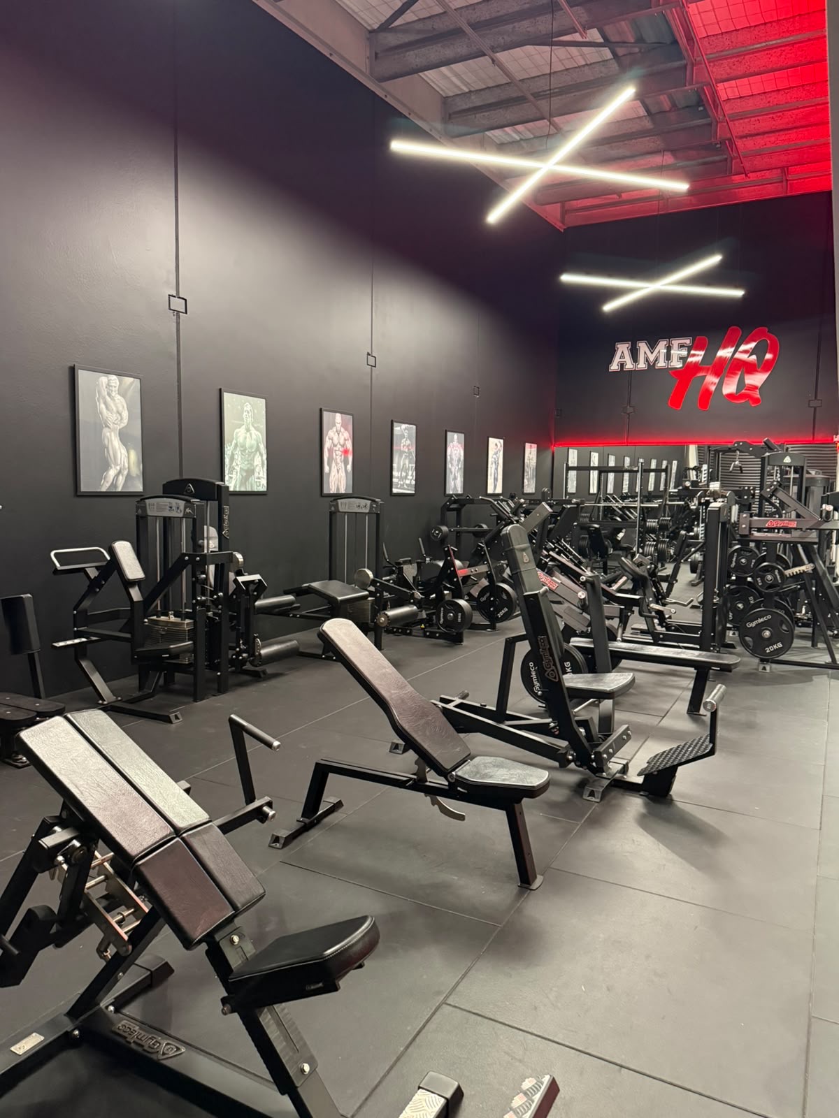 Inside AMF HQ — premium training floor in Tauranga